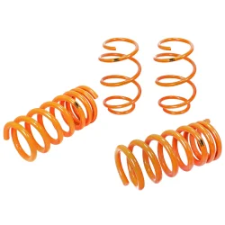 Sprężyny obniżające aFe CONTROL Lowering Springs -OVERSTOCK | Ford Mustang GT | 5.0 | 2015-2024
